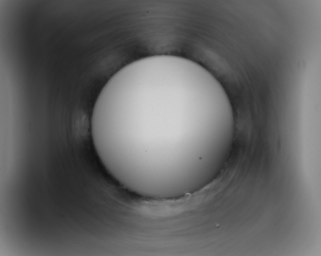 X0000096720025200802191537