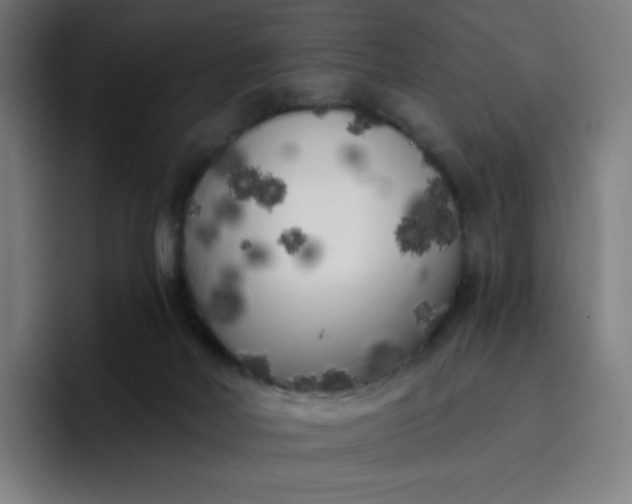 X0000096720026200802191537