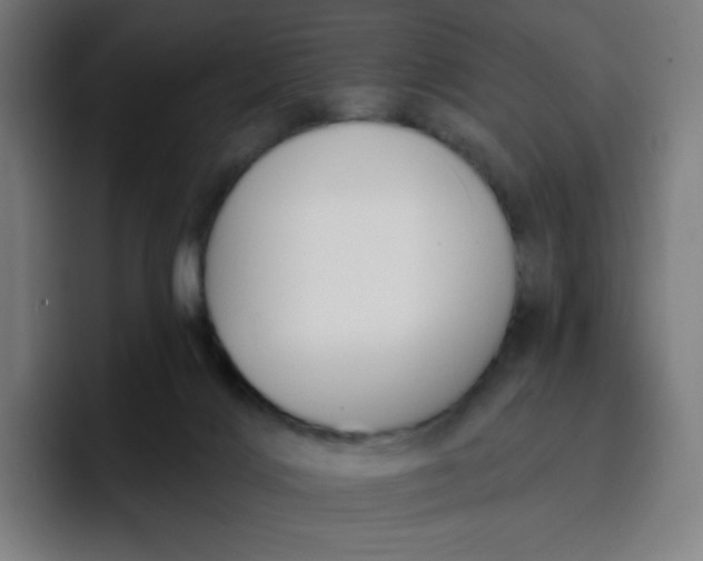 X0000096720028200802191537