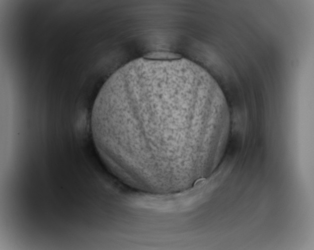 X0000096720029200802191537