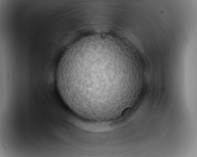 X0000096720032200802191537