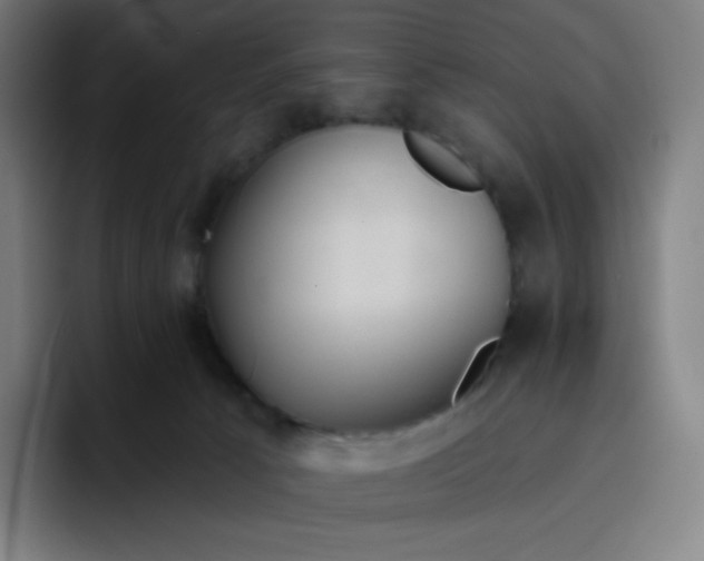 X0000096720033200802191537