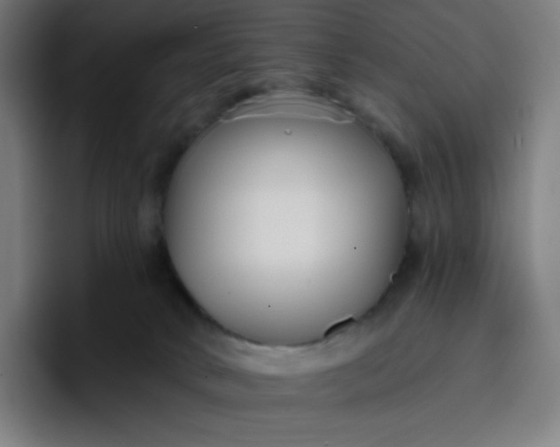 X0000096720034200802191537