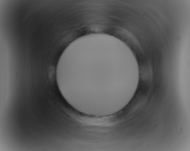 X0000096720036200802191537