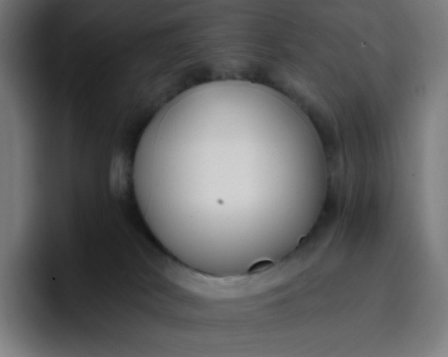 X0000096720038200802191537