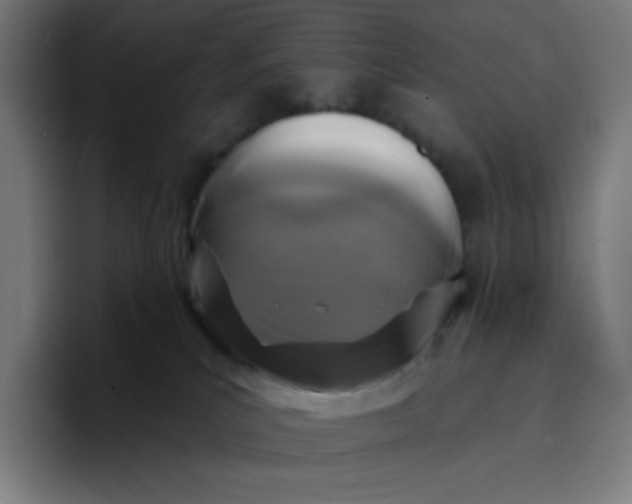 X0000096720039200802191537