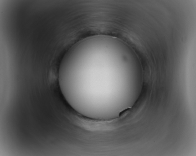 X0000096720040200802191537