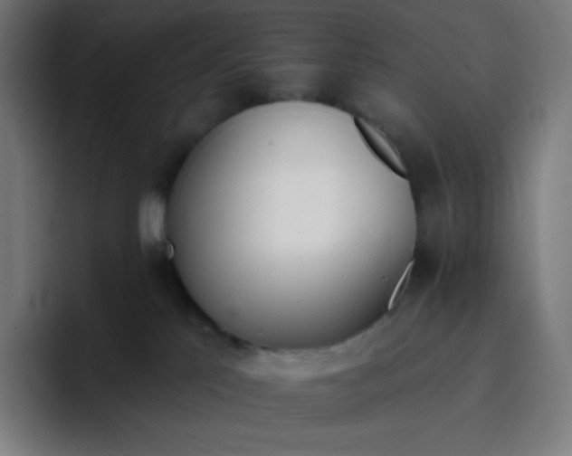 X0000096720041200802191537