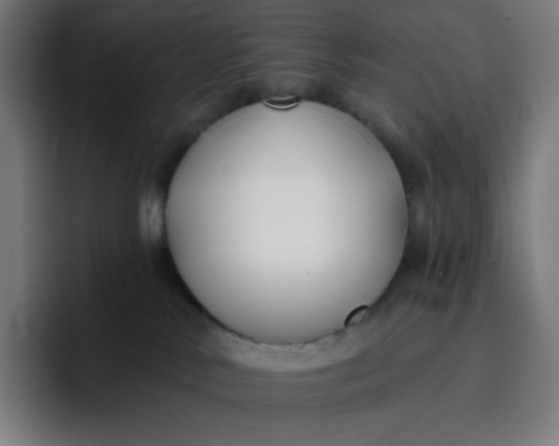 X0000096720042200802191537