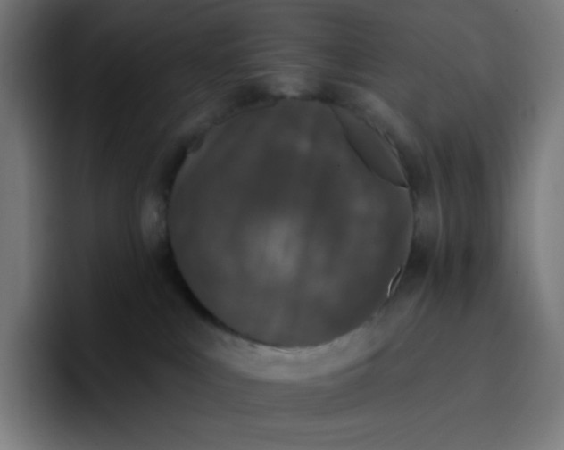 X0000096720043200802191537