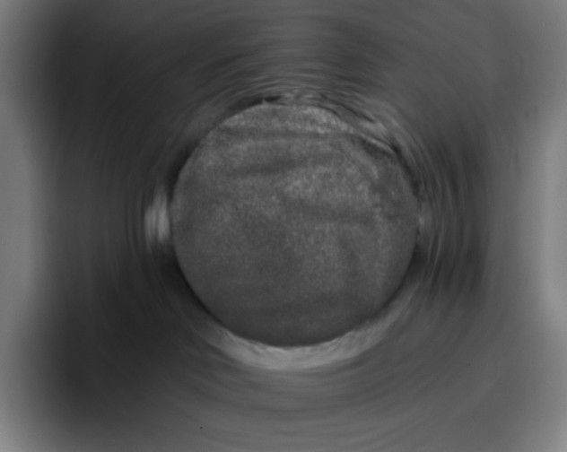 X0000096720046200802191537