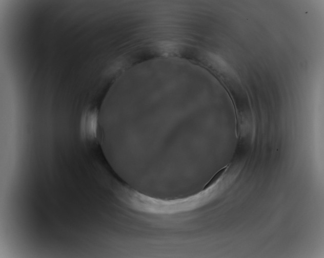 X0000096720047200802191537