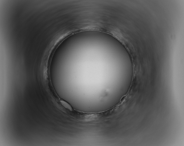 X0000096720050200802191536