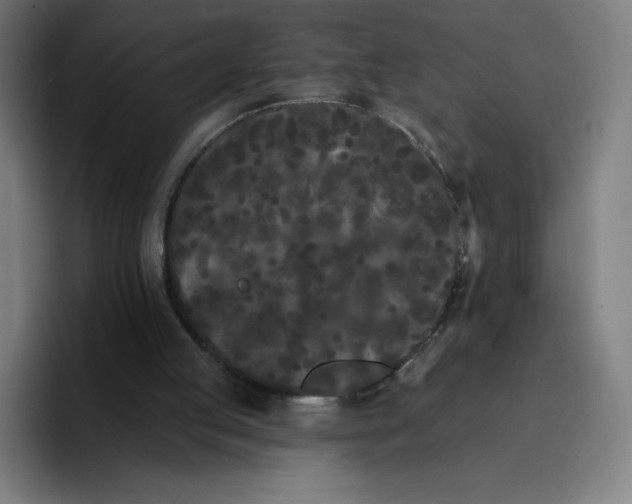 X0000096720053200802191536