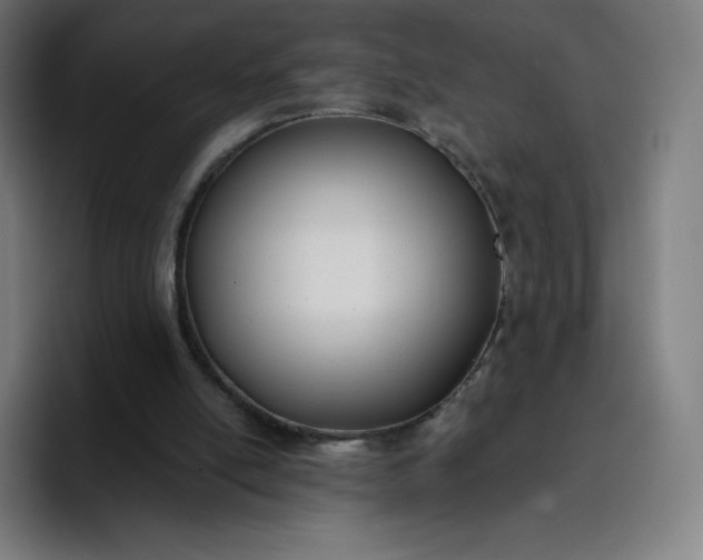 X0000096720054200802191536