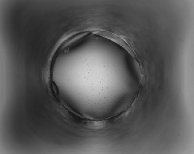 X0000096720056200802191536