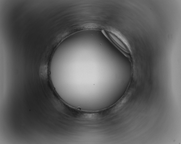 X0000096720057200802191536