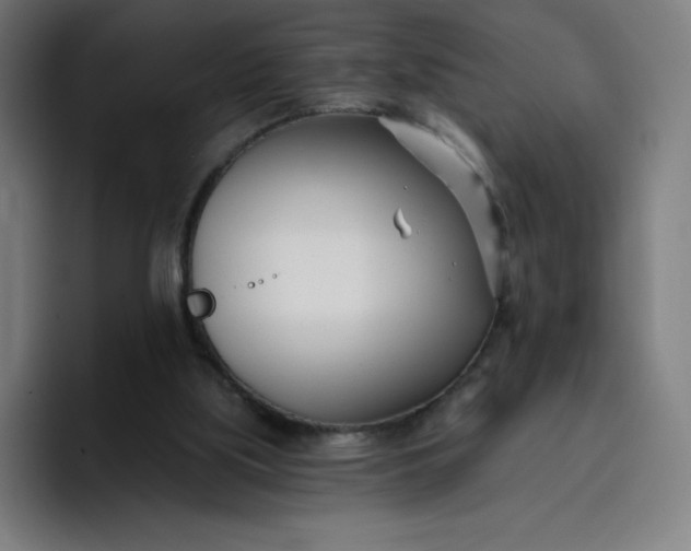 X0000096720059200802191536