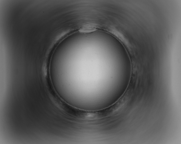 X0000096720060200802191536