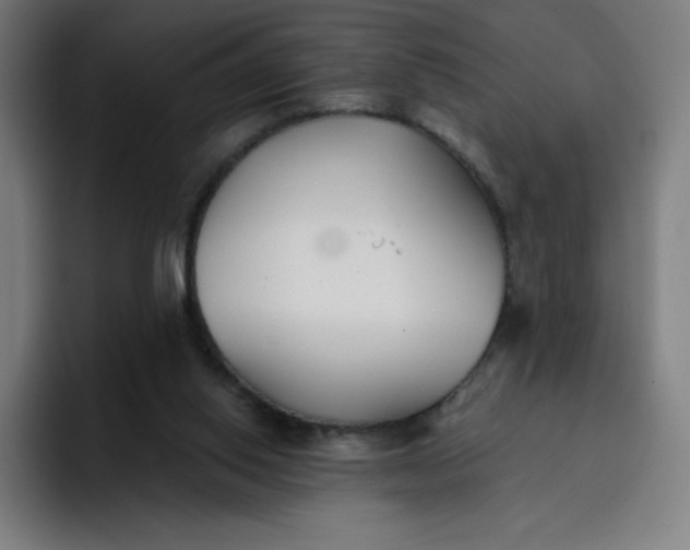 X0000096720062200802191536