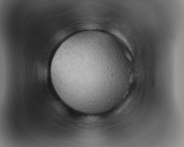 X0000096720063200802191536