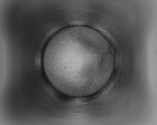 X0000096720064200802191536