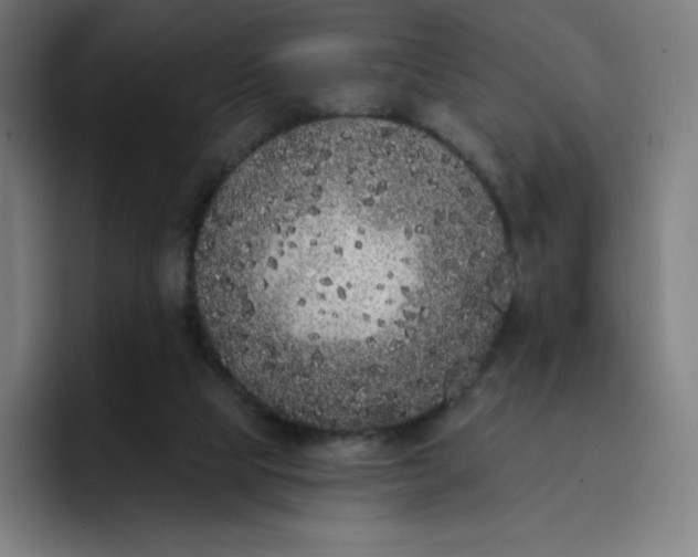 X0000096720065200802191536