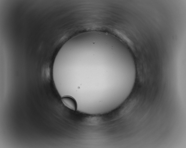 X0000096720067200802191536