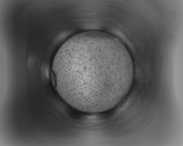 X0000096720068200802191536