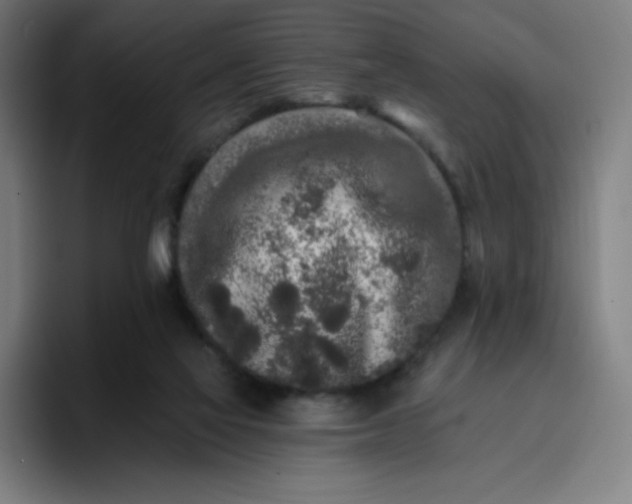 X0000096720069200802191537