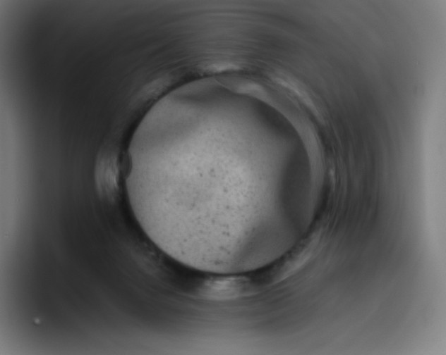 X0000096720072200802191537