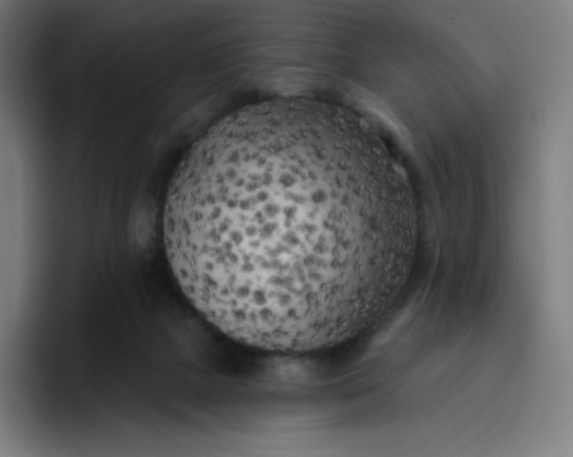 X0000096720073200802191537