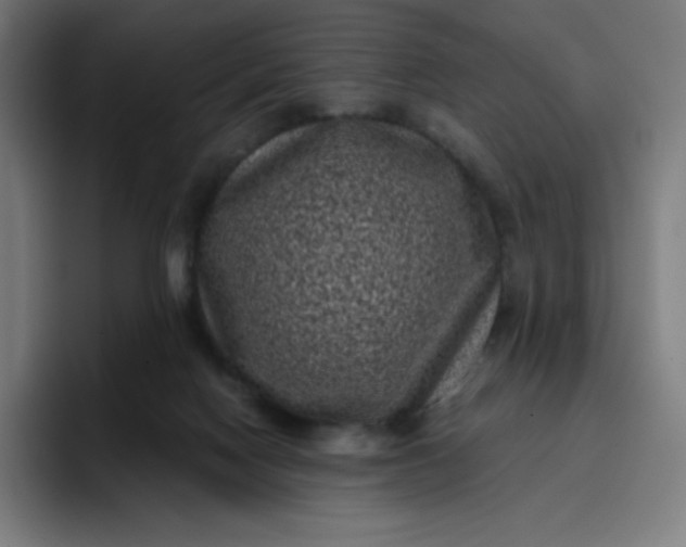 X0000096720074200802191537