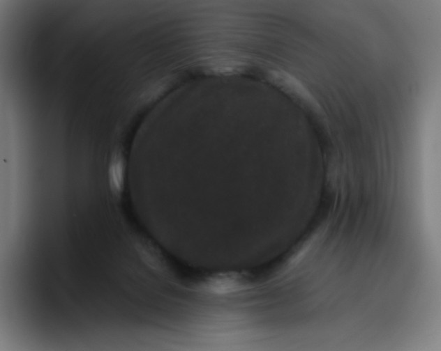 X0000096720076200802191537