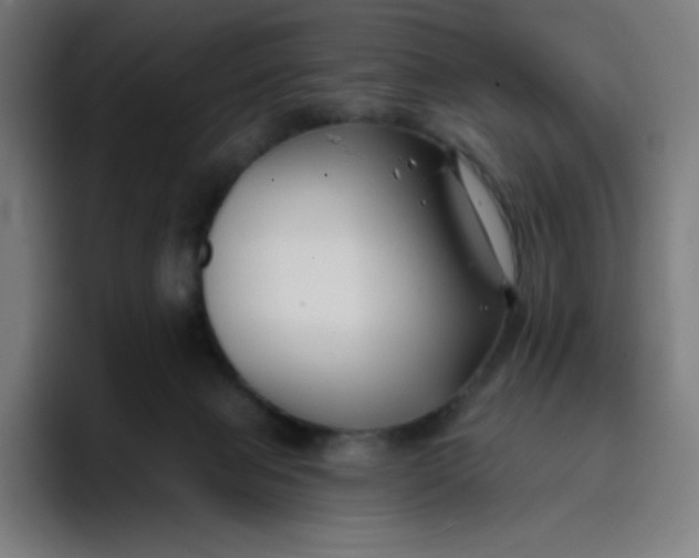 X0000096720077200802191537