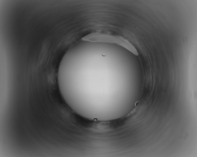 X0000096720078200802191537