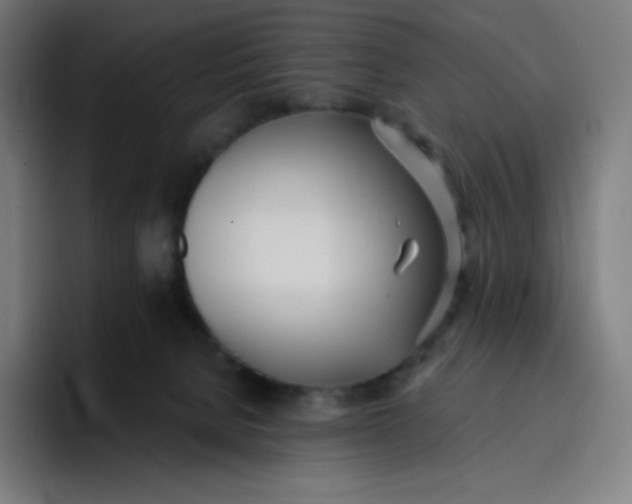 X0000096720080200802191537