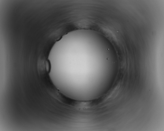 X0000096720081200802191537