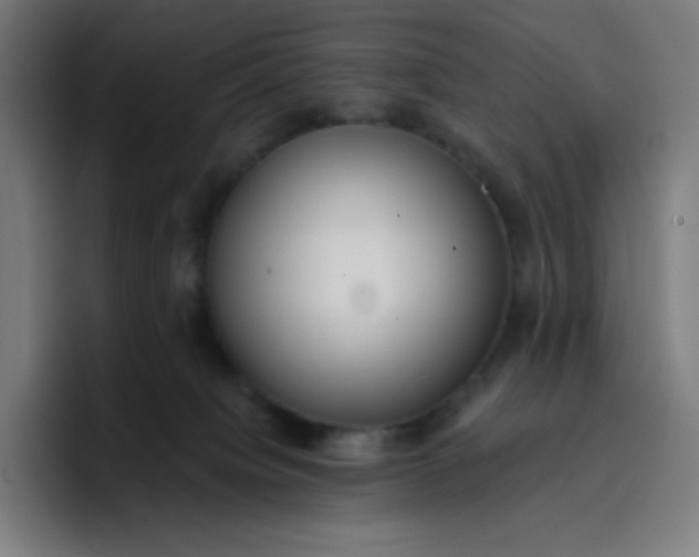 X0000096720084200802191537