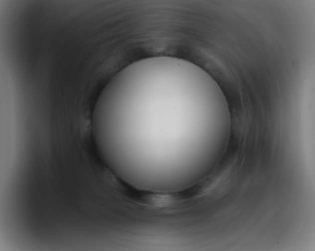 X0000096720085200802191537