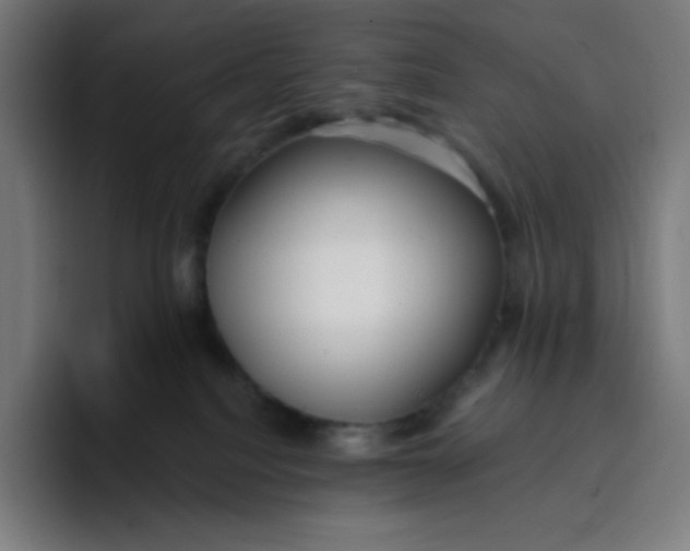 X0000096720088200802191537