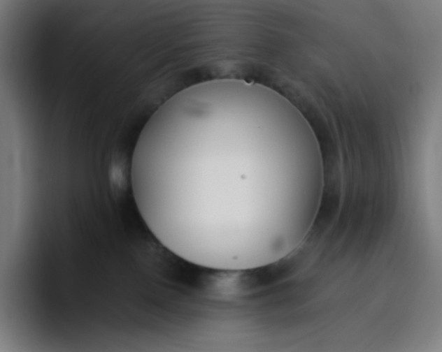 X0000096720090200802191537