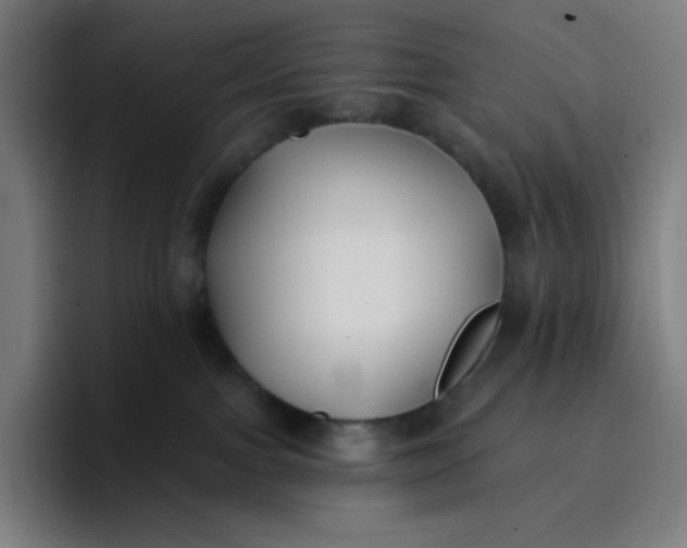 X0000096720091200802191537