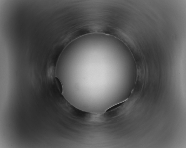 X0000096720093200802191537