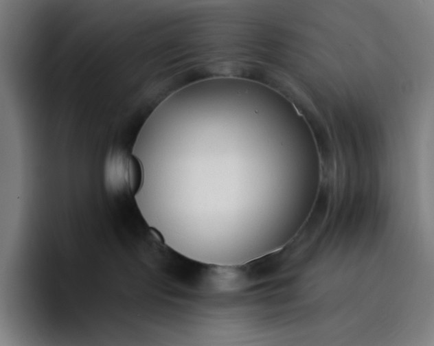 X0000096720095200802191537