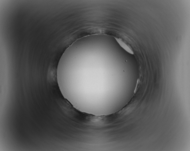 X0000096720096200802191537