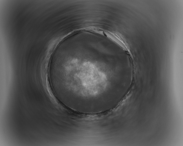 X0000096720097200802191536