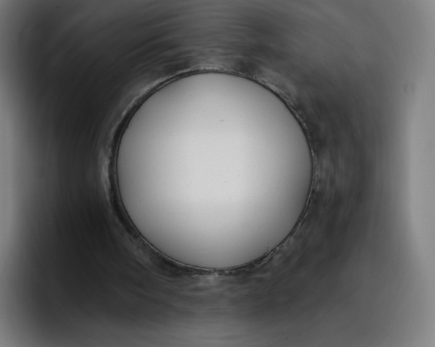 X0000096720098200802191536