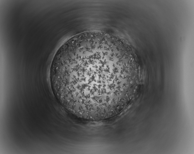 X0000096720099200802191536