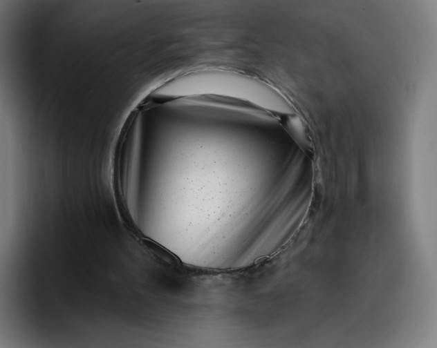 X0000096720100200802191536